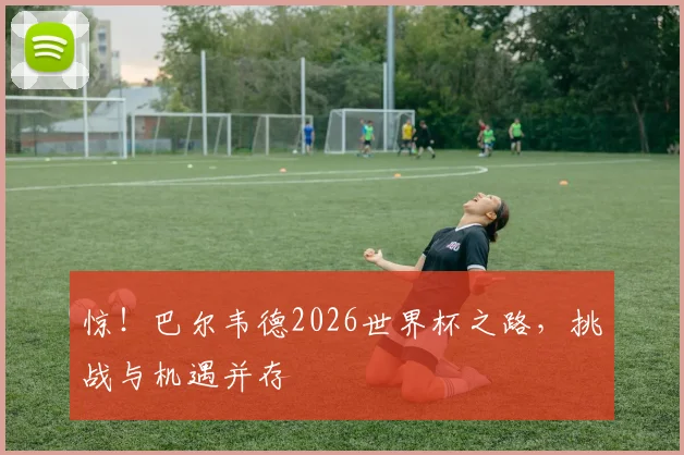 惊！巴尔韦德2026世界杯之路，挑战与机遇并存