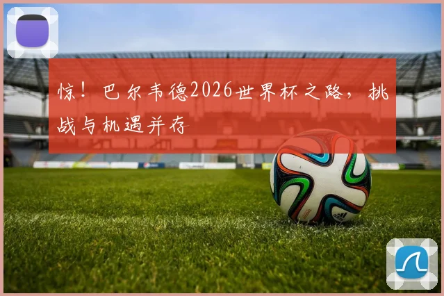 惊！巴尔韦德2026世界杯之路，挑战与机遇并存