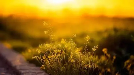 IG与T1电竞比赛日期10月19日全球直播，强强对决引爆关注